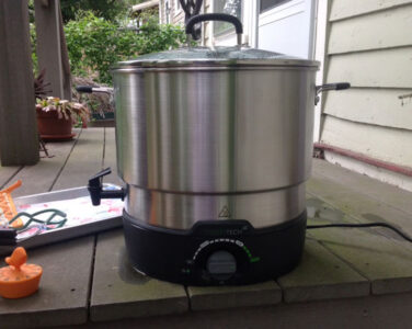 Canning Jam with a Ball Electric Canner Image